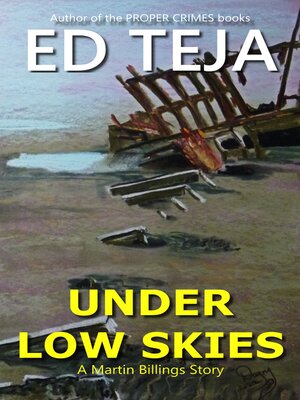 cover image of Under Low Skies
